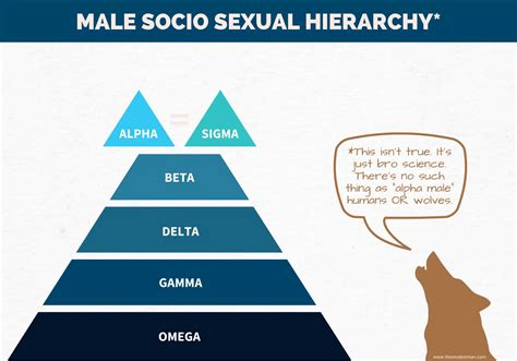 alpha beta and omega males|alpha male chart.